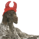 Illustration for article titled You Should Probably Let People Know Not to Pet Your Cranky-Ass Dog